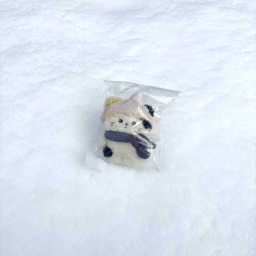 ちょっとまえに  いっぱいゆきがふった
ぬれるのがいやな  みけねこなので  ふくろにいれられた