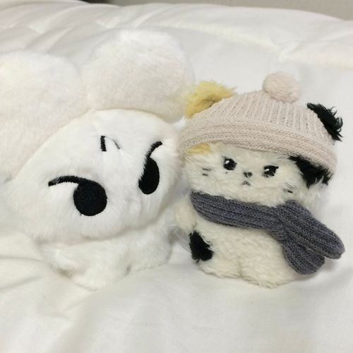 ずーっとおしゃしん  あげれてなかった……
きょうは  あたらしいふわもこのおともだちを  しょうかいするよ
おなまえは、きなこ
りによりもちょっとおおきい、まっしろな  ねずみさん
よろしくね