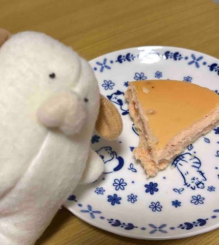 いちごのチーズケーキをもらった🍓
美味しいﾜﾝ〜🐶