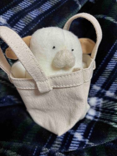 無印のﾁｯﾁｬｲﾊﾞｯｸﾞに入ってみた🐶
一緒にお出かけしようね〜