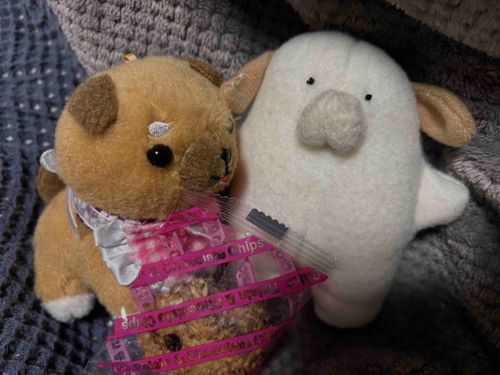 カイヌシがパソコンデータ飛んで落ち込んでるのでクッキーで応援…🐶🐕