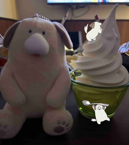 ソフトクリームと同じ大きさワン🐶🍦