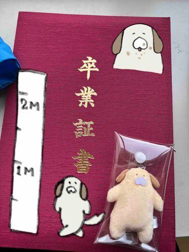 卒業ワン〜🐶