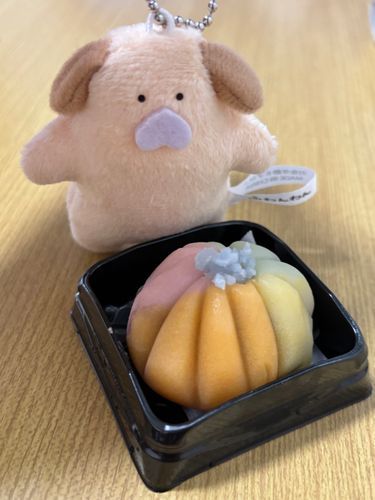 おやつの写真発掘ワン🐶