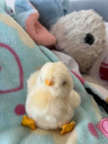 労働いってこい。
おれたちはおふとんで遊んですごしてるから心配すんな。