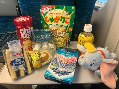 小さくなって名古屋まで着いていくよ
