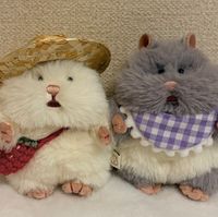 はんぺんとがんも