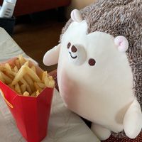ポン吉