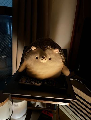 🔦ぽ〜て〜と〜👻🍟