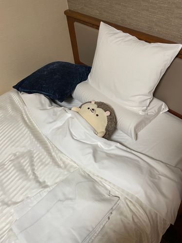 こないだ りょこう した〜
いえからはなれたところに
いくことを りょこう っていうらしい〜