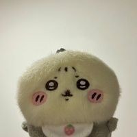 ラッコ