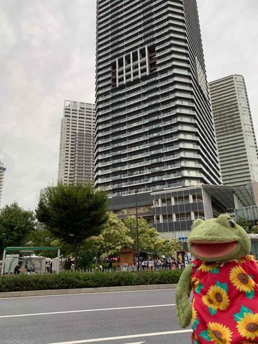 シティーGirl✨ガーコ🐸🌻

in 東京～🗼