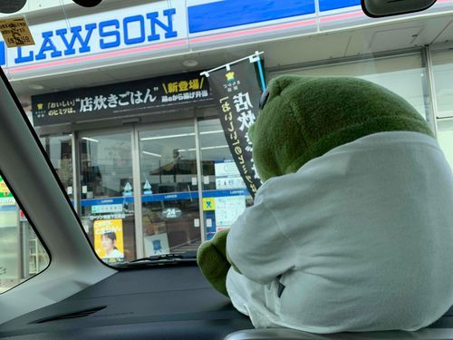長男スケ🐸の後ろ姿✨
きのう、ローソンに連れて行ってもらったんだ～♪̊̈♪̆̈
ボクは4匹の中で1番の食いしん坊なんだよ💕えへへ