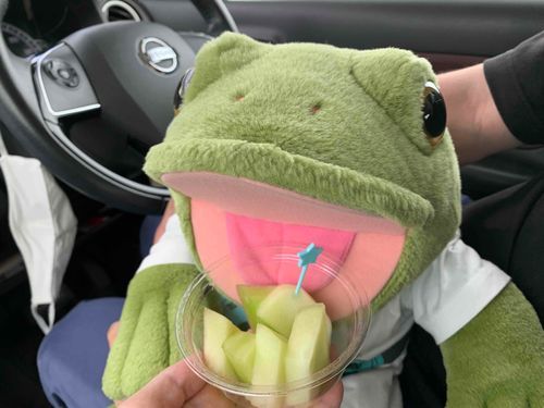 🐸スケだよ～きのうの投稿の続き💕ローソンでは、サラダ巻きとメロンを食べたんだぁ～💚💚💚メロンには星のピックが付いてて可愛かったよ✨