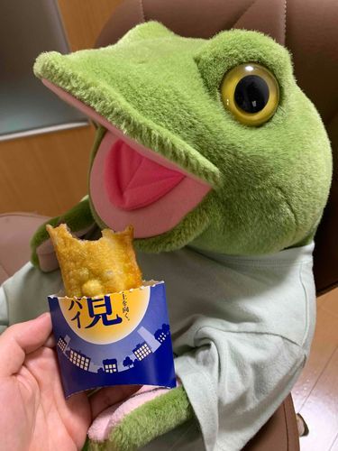 我が家の次男🐸カク✨
（長男スケよりしっかり者）
週末は、マックテイクアウトしたよー🍔🍟
お月見🌾🌕
月見バーガー とパイは何だかんだ毎年食べてるよ🐸
家族の恒例行事なんだ♩¨̮