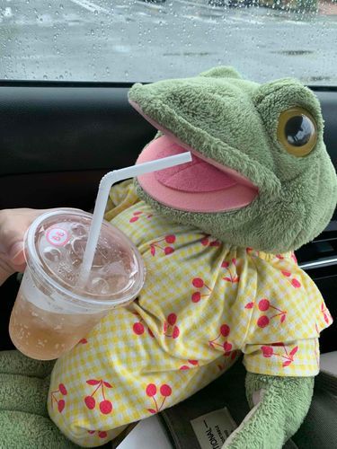 モスでティータイム🫖𓂃 𓈒𓏸
🐸ももジンジャエール🍑✨️
さっぱりしてて、桃の果肉入りでとってもおいしいよ♪♪