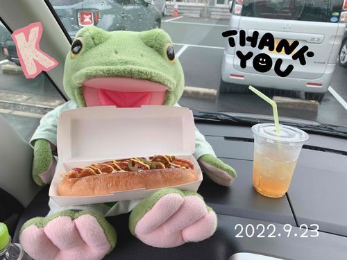 🐸秋分の日
車に乗っておでかけ♩¨̮
16:00～開催されてた秋祭りに参加してきたよ✨️
キッチンカーが来ててにぎわってた💓
ホットドッグ食べたです🐸
あっ、飲み物はレモネード🍋
食欲の秋が来ました～

From. カクより✐☡