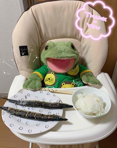 2022.10.2

おうちでさんま定食🐟✨️
きょうは午前中からお買い物で新鮮なさんまをGETしたんだぞ～🐸💕
おれ、さんまだーいすきなんだなぁ♪♪ 
ごはんも大盛り！
げんきいっぱい完食したぞ💓

Fröʍ▹▸﻿末っ子キチ🐸