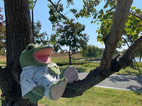 🐸末っ子キチだ💓
これもそばの花見に行った時の写真だ✨✨✨
たくさん写真撮ってもらってモデル気分だったぞ💕💕💕
それにしても木の上は心地よかったなぁ🌸🫧🐸 𓂂𓏸💭🌈 💕🫧*:.｡❁💗🌸🫧