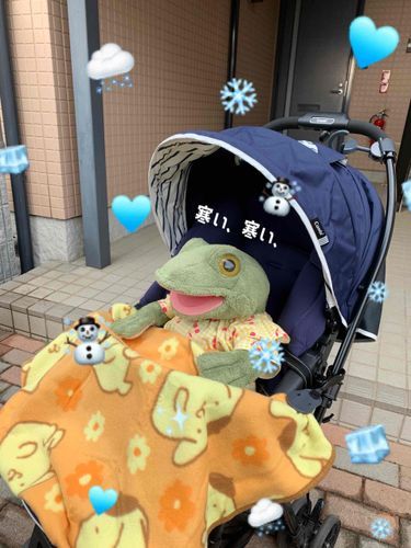 ⛄️2022.12.20❄️🫧

🐸ガーコ♪ガーコ♪
寒い、寒い、寒い～
娘ちゃんの愛車、ベビーカーに乗せてもらったのね💓
ポムポムプリンちゃんのひざ掛けがあったかくてしあわせなガーコちゃん🐸✨
ベビーカーの乗り心地も最高だったみたい🎉🎉🎉
ご機嫌気分なガーコちゃん、ふんふんーん♪̊̈♪̆̈って鼻歌が止まらない🐸💚

【ガーコ´s メモ✍︎】
先週、12.17(日)には初雪が降りました⛄️❄𓂃𓈒𓏸︎︎︎︎
娘ちゃんにとっても初雪！（去年の初雪は生後2ヶ月だったから☆）
寒かったけど外に出て雪を見せたらよく見てた😳不思議そうな感じだったかな☃❄
パパ・娘ちゃん・ママ3人で手を繋いで歩いたよ～‼️
寒かったと思うけど何だか嬉しそうにテクテク歩いてた姿に癒された🥰
