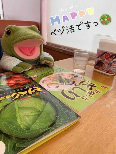🐸☀️2023.3.19☀️🐸
次男坊カクですっ！
今日のランチ🥗
長崎リンガーハット♫🍜
野菜モリモリでしあわせ気分になるカク🐸
カクはベジタリアンなんですよー！！！🥗🥗🥗

【🐸カク’sメモ📝】
・ご主人様は皿うどん＆ミニチャーハン
・ご主人様の旦那さんは野菜モリモリちゃんぽん麺2倍
食後は2人してミルクセーキも食べました～😌
ちなみに、娘ちゃんも一緒だったけど…お昼前から動物園を楽しんだからリンガーハットでは爆睡してくれてて、ご主人様たちは久しぶりのゆっくりごはんTime🐸よかったです～🐸
動物園での写真も、また投稿するです～！！！🐸