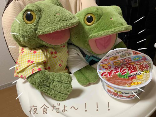 🐸2023.7.29🐸
長男坊スケ＆長女ガーコのね💖ボクたちは変わらず元気元気だよ☀️
毎日暑いね🐸💦
みんな～、夏バテ･熱中症には気をつけようね😭

✄--- ---✄

ご主人様と一緒に、晩酌の〆で食べたカップラーメン🍜
とんこつーーー！！！
ご主人様が急に食べたくなるって言うんだよね～🐸笑
面白いな🍜✨️
スケは食いしん坊かえるだから、もちろん晩酌のお供からラーメンまで食べちゃったよね🐸ﾃﾍｯ

【ガーコ’sメモ🐸📝】
ガーコは美容に気をつけてるからラーメンは我慢しただのね🐸✨️くっ⋯、本当はラーメン食べたかったのね💦
〆のラーメン、、、魅力的だのね～！！！くぅ⋯