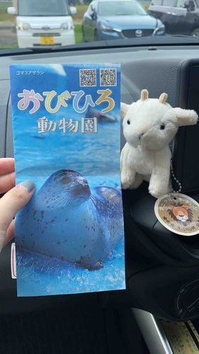 はじめてあったときのしゃしんだめ🐐