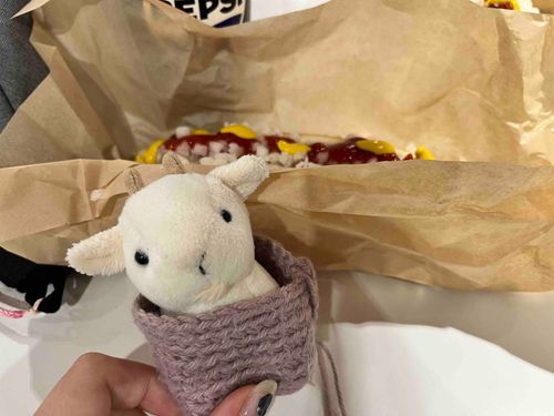 ここはどこだめ🐐