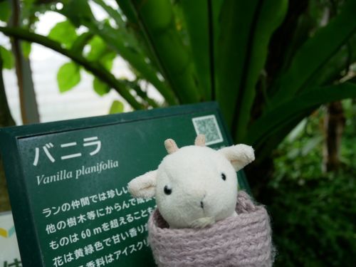 あまいにおいがするんだめ？
