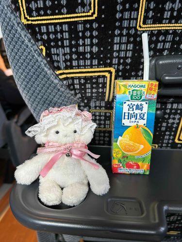 ひゅうがなつのすわるとこ、すわっちゃった💦おおさかいくんやよー
