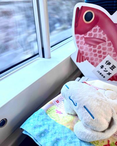 旅行に行くよ🚆