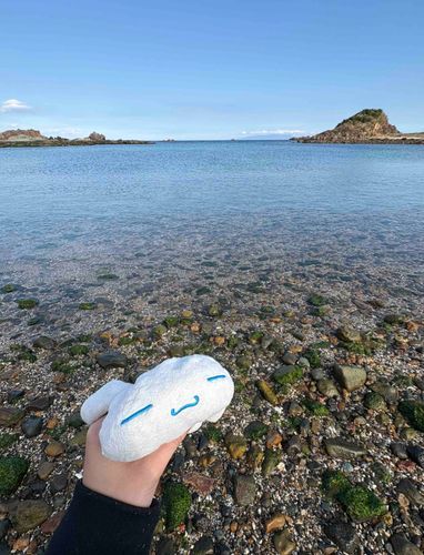 海だよ