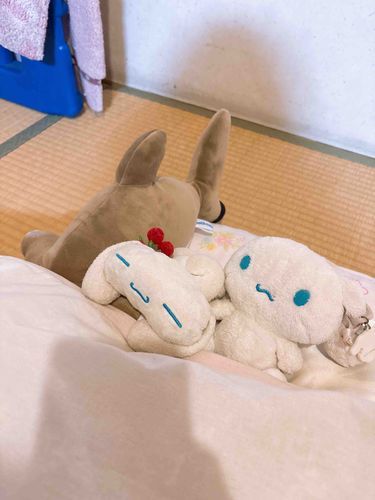 寝りゅよ