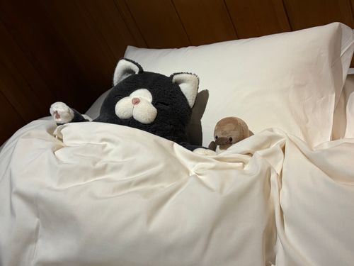 GW🤘‼️は最高☝️❣️の宿🏨で新人✨とベッド🛏️✨をシェア👍したのサ‼️😎✨