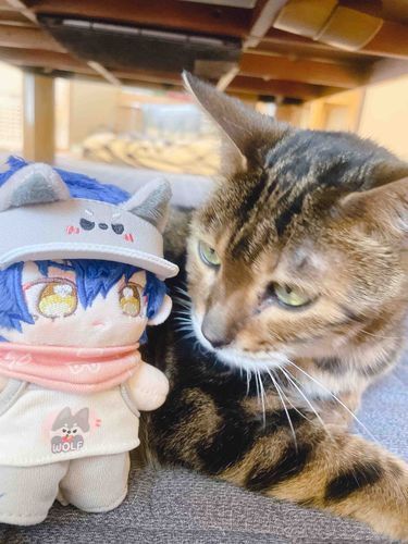 🍓耳のかたちが一緒ですねぇ