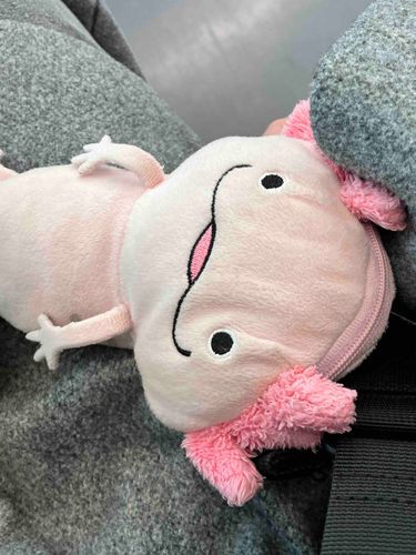 おともだちの中で、いちばんお外の景色をみてるのは、うぱすけちゃん。
今日もかいぬしと一緒にお出かけだよ。