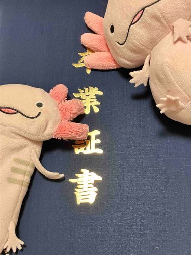 個人情報の保護をつとめます、
みにぱとうーぱです。