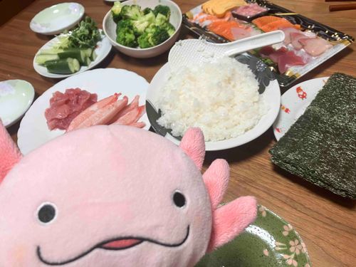 てまきの、おすし！
三角の形に海苔を巻くのって、欲張って乗せすぎると上手にできないんだよね。
桃の節句は、謙虚な心を教えてくれた。