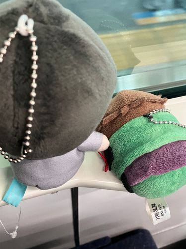 🇯🇵＜おでかけです
ぎね＜おでかけだ！

おそらはあめもようらしいが、それもそれでふぜいがある、ってもんだ！