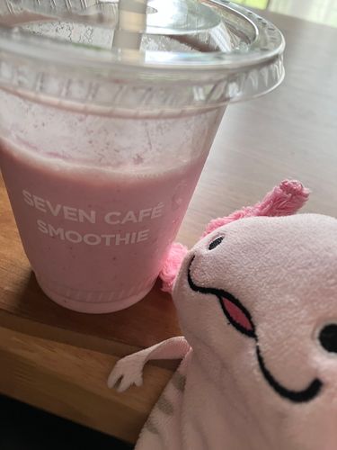 かいぬしへ バイト代を、自分へのごほうびとか言ってすぐに使うのやめたほうがいいよ。
そのごほうび、今月なんかいめ？