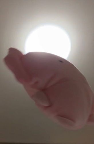 ふらいんぐつぶちゃん