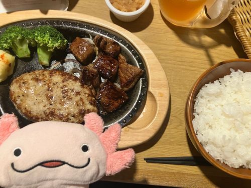 おにく！！！！
カロリーは熱に弱いから
ハンバーグのカロリーはゼロ