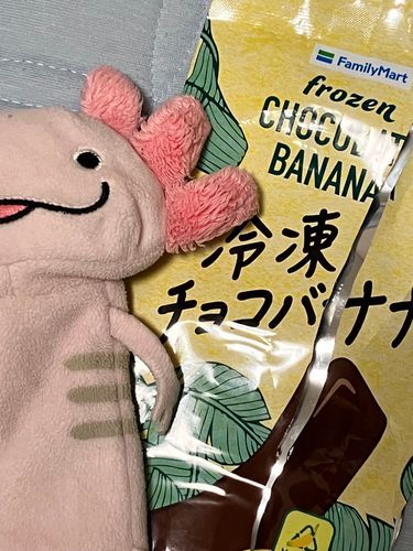 かいぬしは、知覚過敏なのにアイスが好き