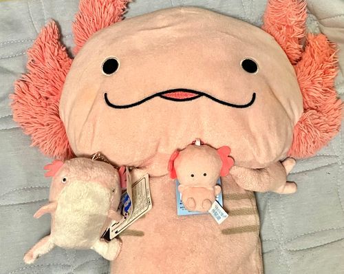 しんいりたち！
ひだりが、田原ちゃん。ちいさいのが、ぷちちゃん。