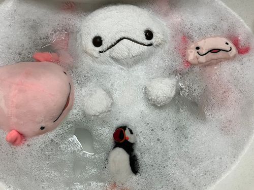 人生とは 泡のようなもの