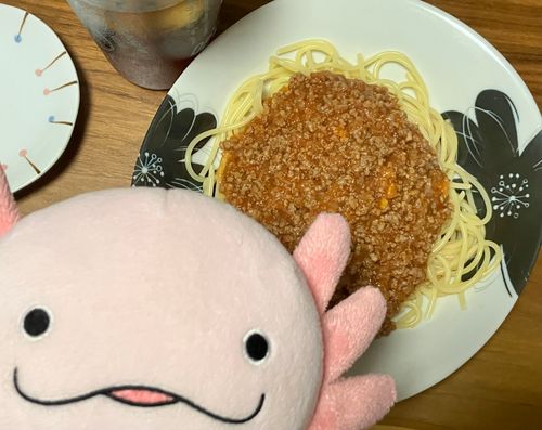 ぱすた！
かいぬしは、ぱすたに粉チーズをかける時、某筋肉芸人さんみたいに大量にかけるよ