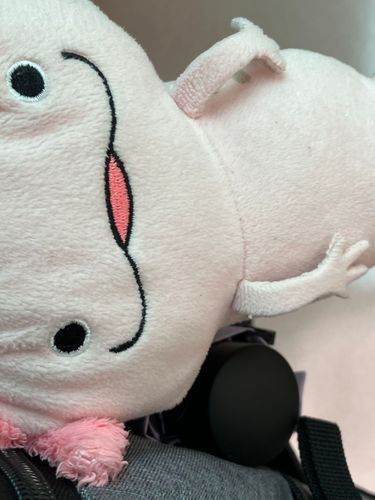 がっ、、、こう、、、？
かいぬし、そんな顔しないで。うぱすけちゃんも一緒に授業聞いてあげるからね。