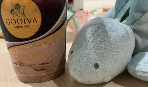 あ、はじめまして、ひふみよっていいます。
あの、あるじさん、あったばかりでこんなこというのもへんかなっておもうんですけど、その、じぶんへのごほうび？ってやつ、がんばってなくてもかっていいんですね……