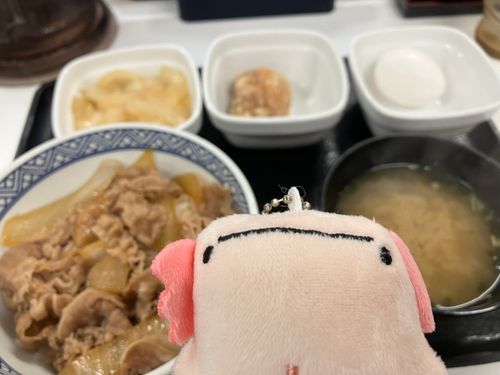 ぎゅ、どん

こにちは、はじめまちて、ひゅまえちゃん、です
ほんみょ、は、ひゅーまんえらー……せいぞうみすで、おかおが、せなかに、ついてるからです……
