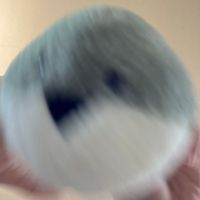 うるせえサカバンバスピス